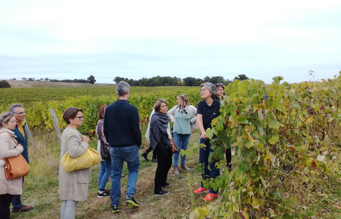 Domaine de Laubesse 1 - Hontanx