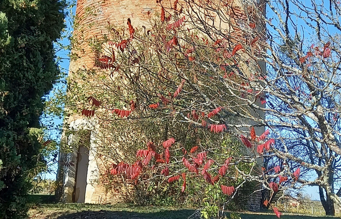 Le Moulin de Laballe 1 - Parleboscq
