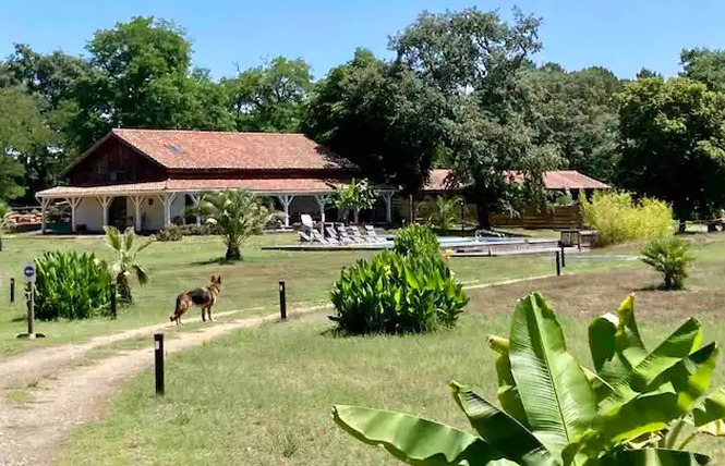 Henry's Lodge 1 - Estigarde