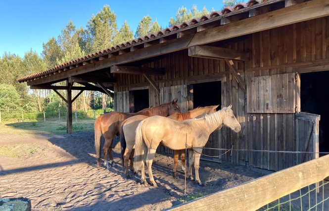 Henry's Lodge 2 - Estigarde