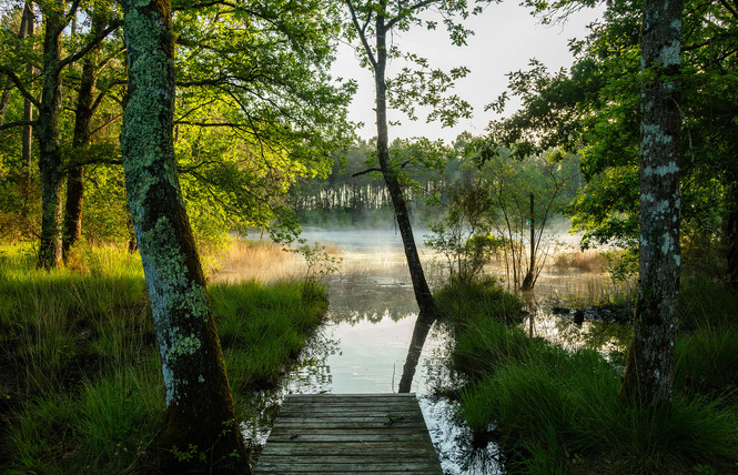 Lagunes de Nabias 4 - Arue
