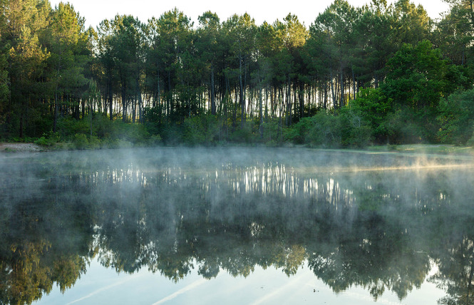 Lagunes de Nabias 2 - Arue