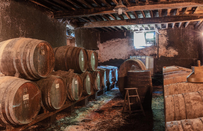 Château du Prada 7 - Labastide-d'Armagnac