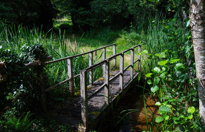 Etang classé de Sainte-Foy 3 - Sainte-Foy
