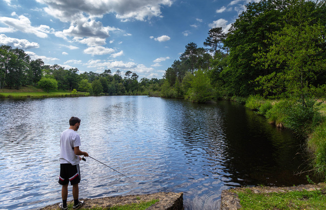 Etang classé de Sainte-Foy 2 - Sainte-Foy