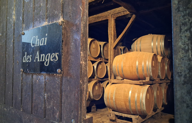 Domaine Départemental d'Ognoas 6 - Arthez-d'Armagnac