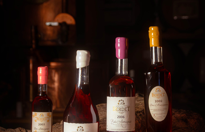 Domaine du Berdet 3 - Bourdalat