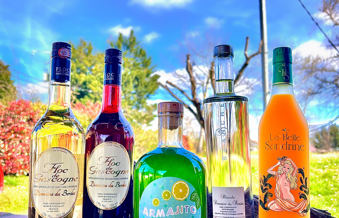 Domaine du Berdet 4 - Bourdalat
