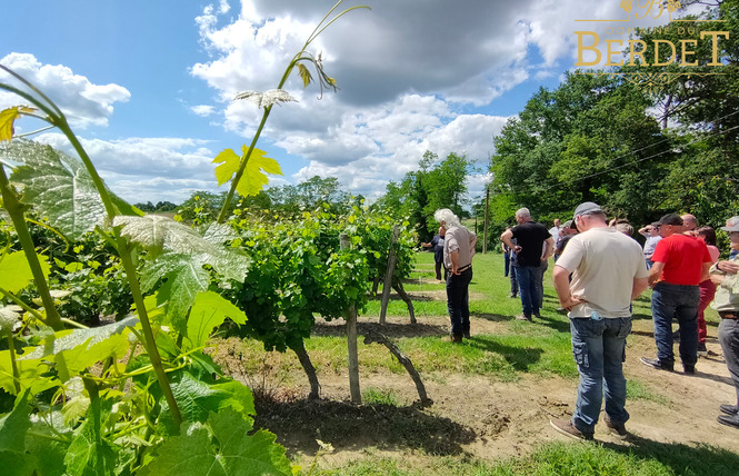 Domaine du Berdet 5 - Bourdalat