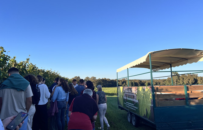 Domaine du Berdet - Visite oenotouristique en remorque aménagée 4 - Bourdalat