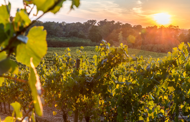 Domaine d'UBY 4 - Cazaubon