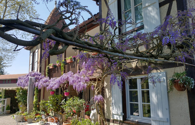Le chalet chez Françoise 3 - Labastide-d'Armagnac