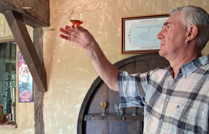 Ferme de Labouc 4 - Labastide-d'Armagnac