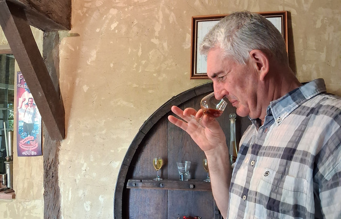 Ferme de Labouc 5 - Labastide-d'Armagnac