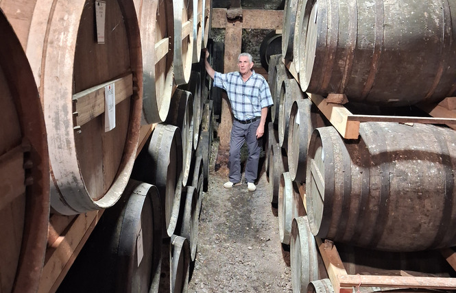 Ferme de Labouc 7 - Labastide-d'Armagnac