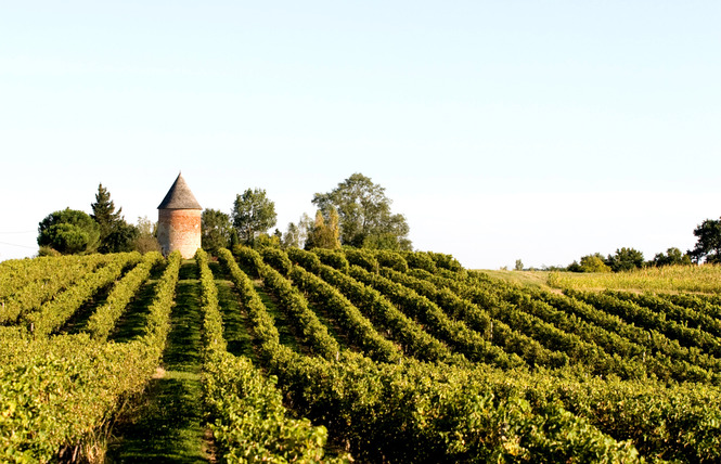 Domaine de Laballe 10 - Parleboscq
