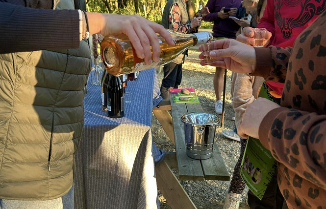 Vélorail de l'Armagnac 5 - Nogaro