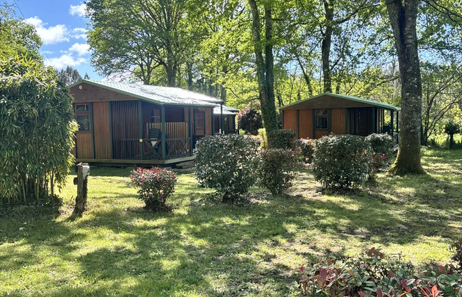 Camping des Landes d'Armagnac 1 - Saint-Justin