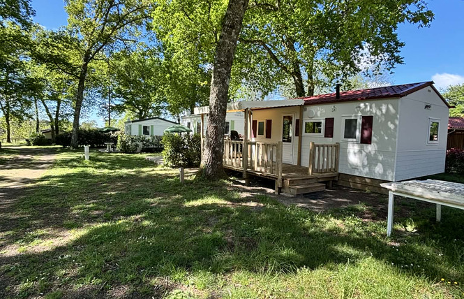 Camping des Landes d'Armagnac 4 - Saint-Justin