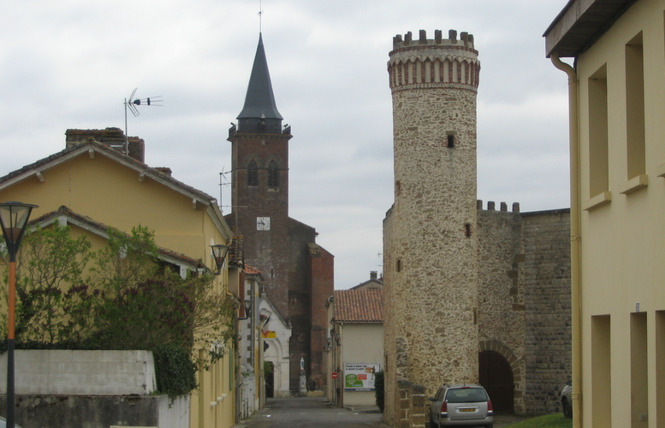 Gîte des Ecureuils 25 - Villeneuve-de-Marsan