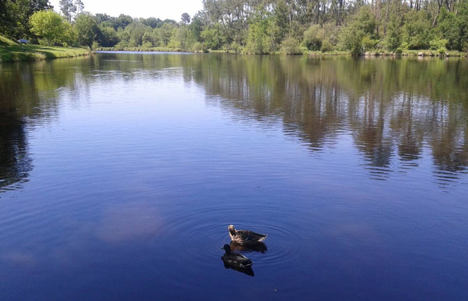 Gîte des Ecureuils 29 - Villeneuve-de-Marsan