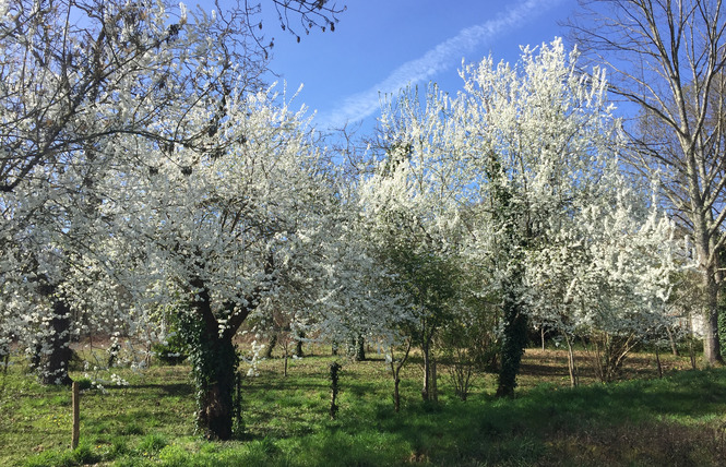 Gîte des Ecureuils 24 - Villeneuve-de-Marsan