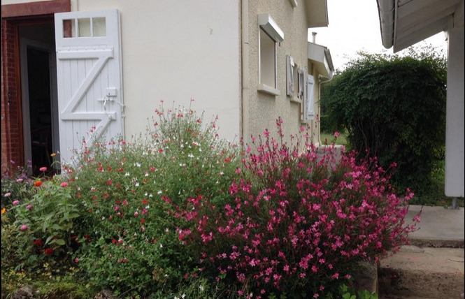 Gîte des Ecureuils 19 - Villeneuve-de-Marsan