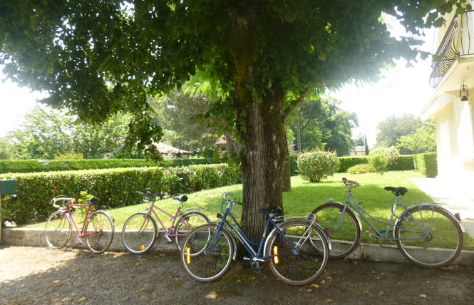 Gîte des Ecureuils 22 - Villeneuve-de-Marsan