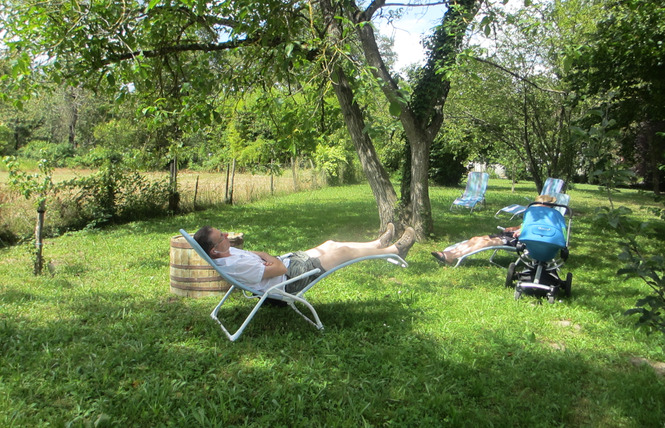Gîte des Ecureuils 23 - Villeneuve-de-Marsan