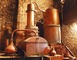 Domaine Départemental d'Ognoas 4 - Arthez-d'Armagnac