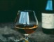Domaine de Luquet 4 - Labastide-d'Armagnac