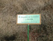 Lagunes de Nabias 9 - Arue
