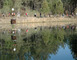 Lagunes de Nabias 7 - Arue