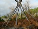 La Forêt d'Art Contemporain : Coeur Chaud Bois d'Aquitaine, oeuvre n°01 2 - Arue