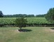Domaine du Hourtica, Jean Tarbe 4 - Labastide-d'Armagnac