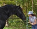 Ferme de l'Hecso 1 - Betbezer-d'Armagnac