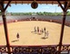 Arènes de Villeneuve de Marsan 2 - Villeneuve-de-Marsan