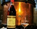 Domaine de Paguy 4 - Betbezer-d'Armagnac