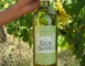 SCEA Château Tour Blanc 1 - Parleboscq