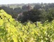Domaine de Lassaubatju 4 - Hontanx