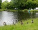 Etang classé de Sainte-Foy 7 - Sainte-Foy