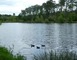 Etang classé de Sainte-Foy 5 - Sainte-Foy