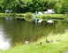 Etang de pêche de Sainte Foy 1 - Sainte-Foy