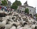 Visite commentée de la Bastide de Saint-Justin 5 - Saint-Justin
