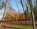 Arboretum 1 - Vielle-Soubiran