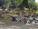 Ferme de Bacoge 3 - Hontanx