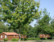 Chalet de Mouneyres n°4 4 - Sarbazan