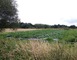 Ferme du Petit Bidouze 2 - Labastide-d'Armagnac