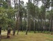 Accrobranche 3 - Arue