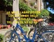 Le Vélo Labastidien 10 - Labastide-d'Armagnac